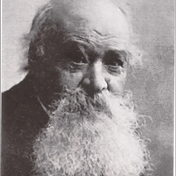 Behringer.jpg
